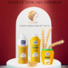 Coffret au germe de blé pour cheveux secs et teints